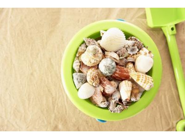 Check for animals inside shells.
