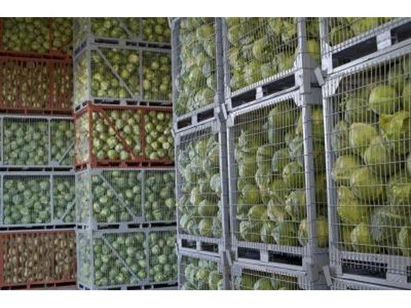 Wholesale food shopping.