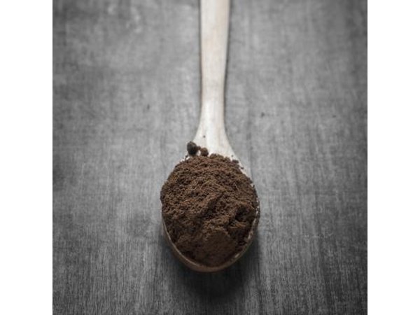 Fine coffee grounds on wooden spoon