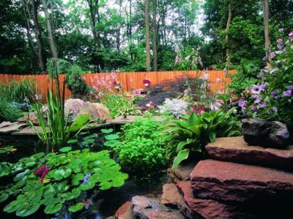 Small Ponds