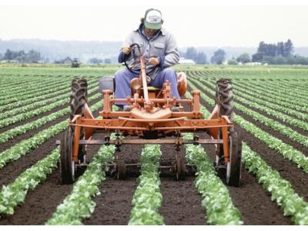 Agriculturist.