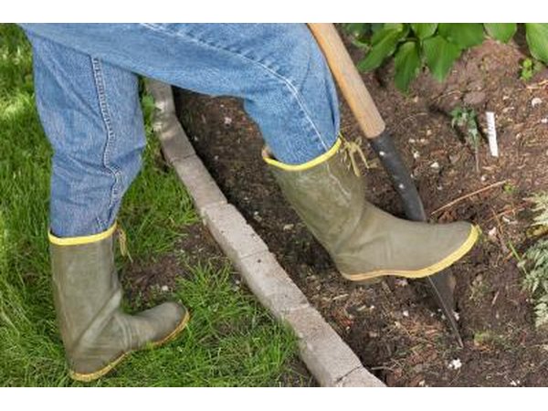 take a sample of soil to be tested