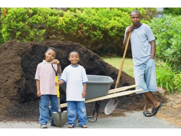 Father and sons standing in front of a pile of soil