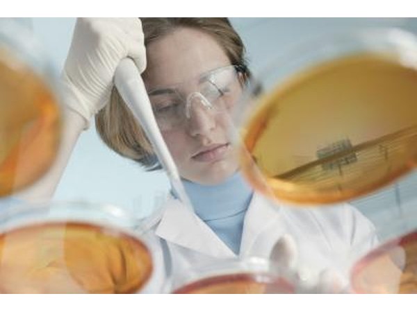 A scientist collects samples in petry dishes.