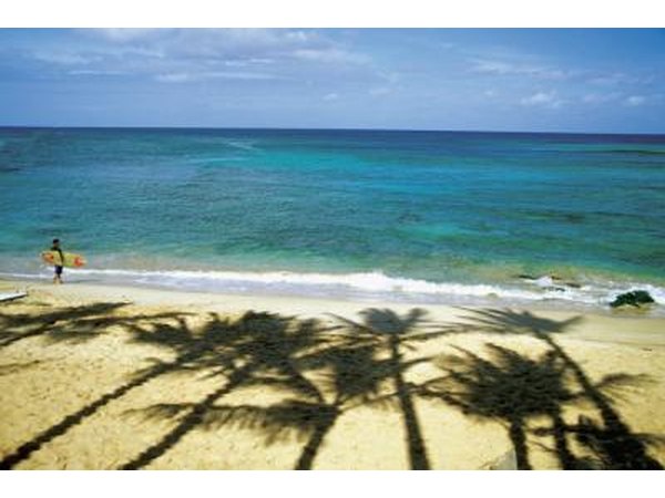 Palm tree shadows on Hawaiian beach