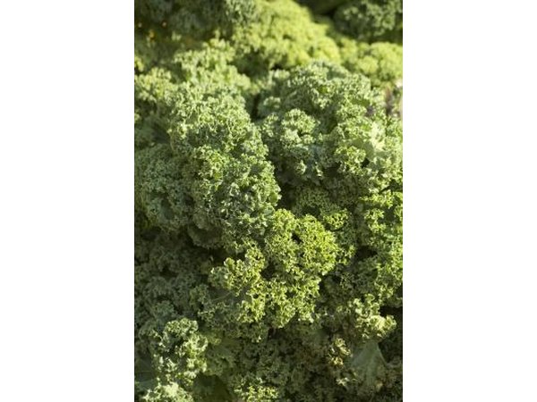 Vegetables