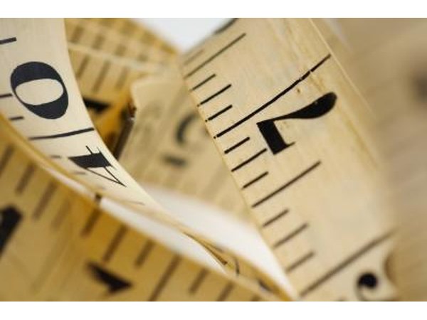 Measure the circumference of the tree at breast height.