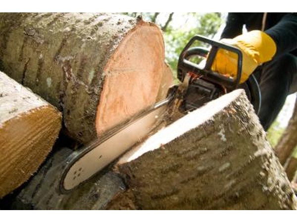 Wood weighs more when it's first cut down.