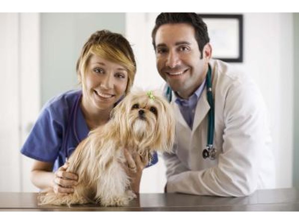 Get-acquainted visits are very helpful and welcomed by vet staff.