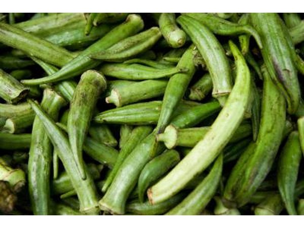 Okra