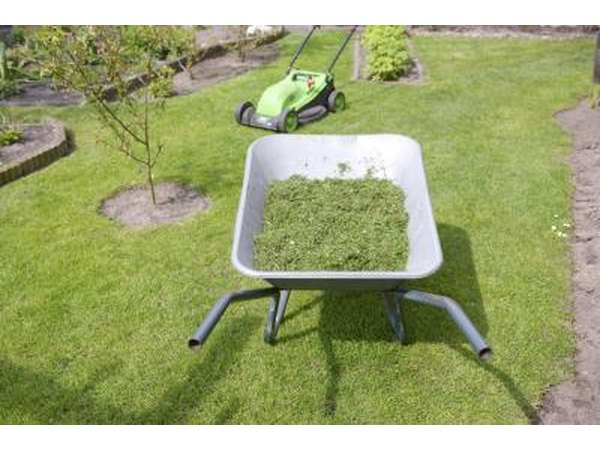 Grass clippings in a wheelbarrow, in front of a lawn mower