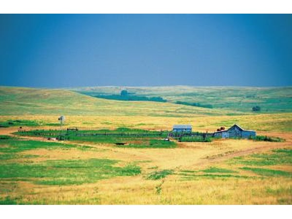 Kansas