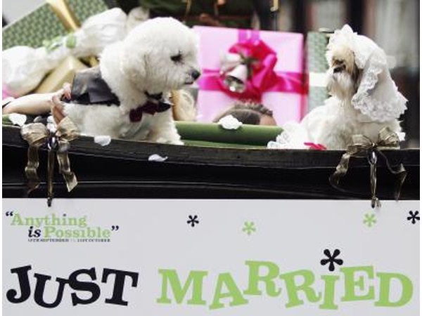 Doggy weddings and other frivolities are okay if being a dog is also allowed.