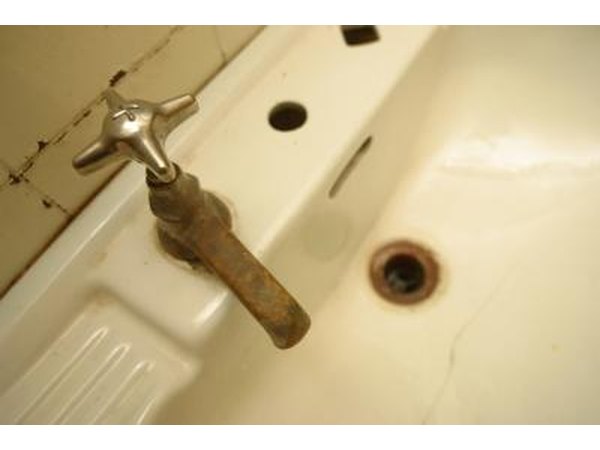 Black molds grow in homes in warm damp places.