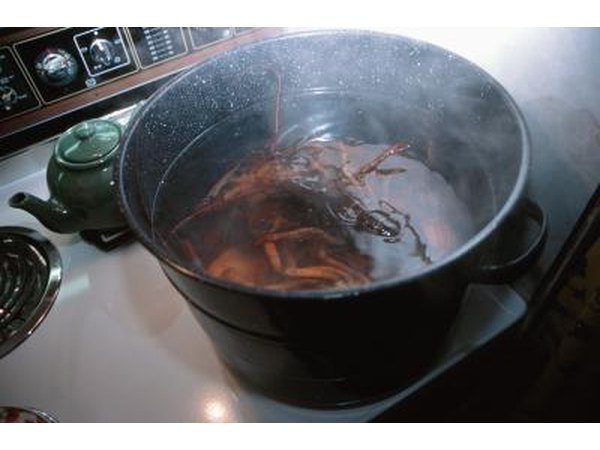 Convection