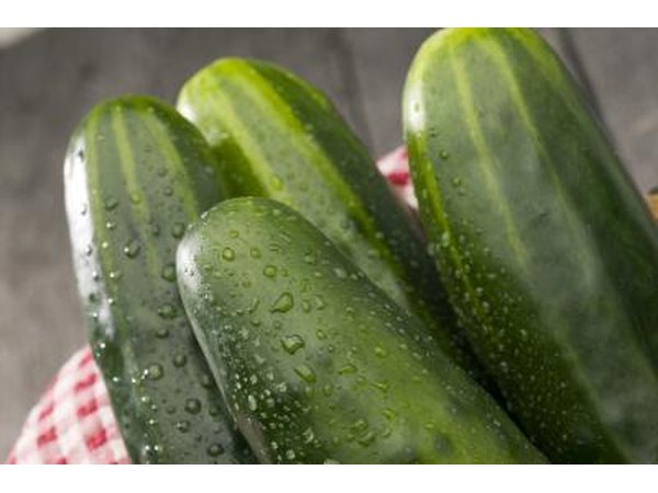 Cucumber