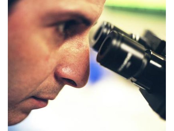 Microscope
