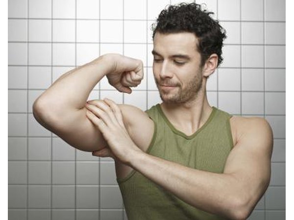 The biceps is the largest muscle in the arm.