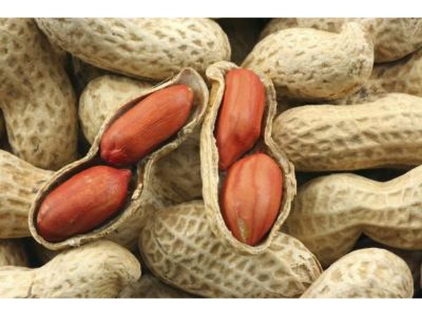 Delayed food reactions could be responsible for this condition.