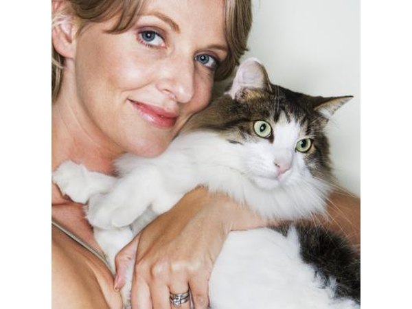 Monitor your cat closely.