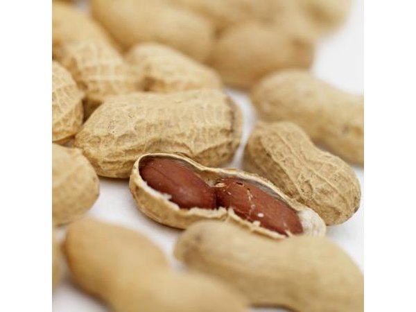 Peanuts in their shell.