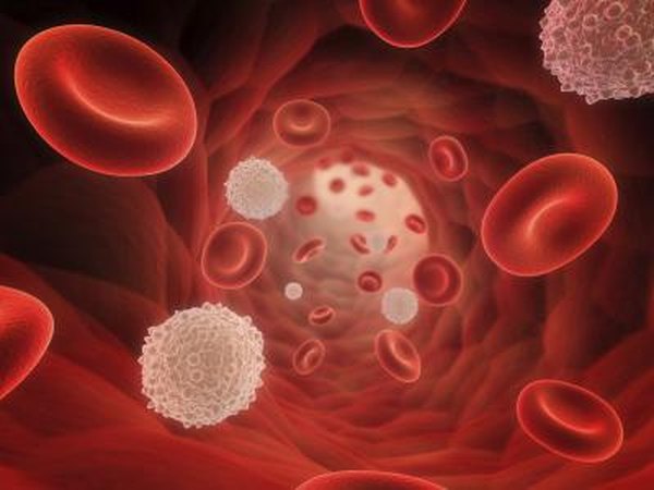 Elevated white blood cell count.