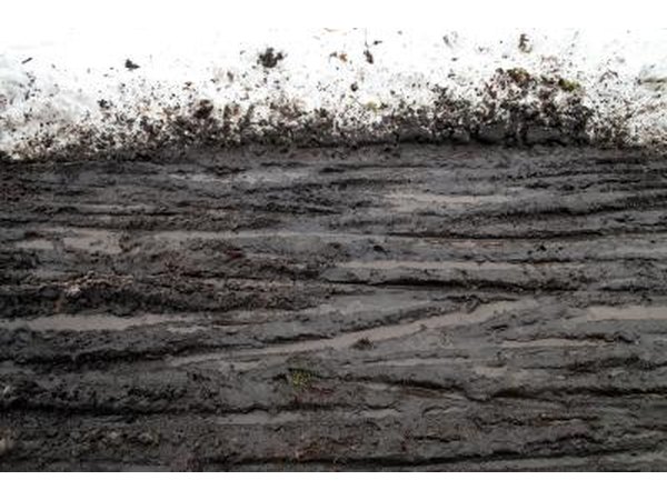 Muddy course.