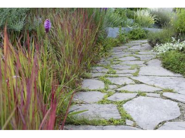 Stone path leads through a small garden bed