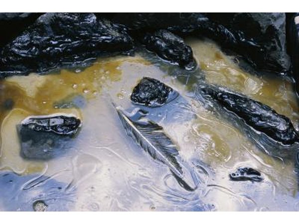 polluted body of water