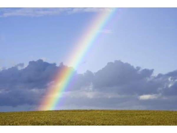 A rainbow is a physical optical illusion.