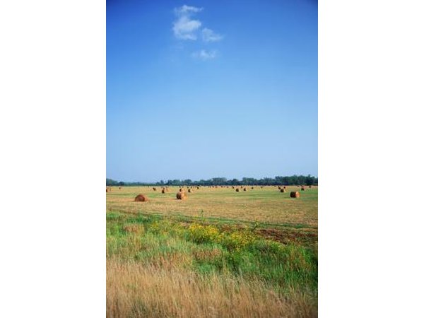 Iowa