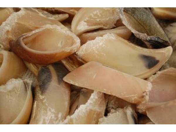 Dogs enjoy natural bones.