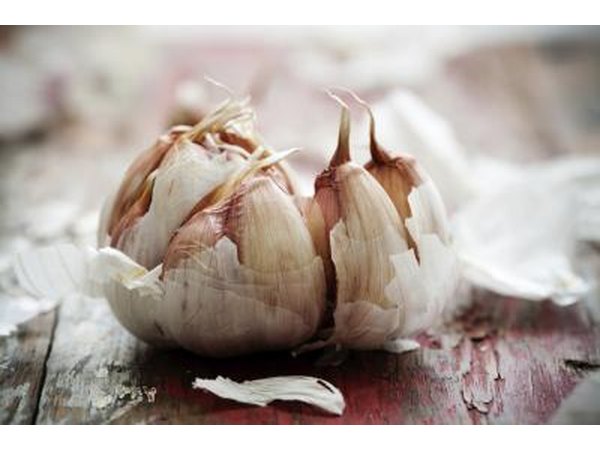 A crushed bulb of garlic.