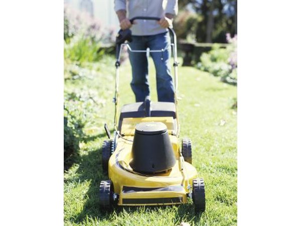 Use rotary mowers and not reel-type mowers for St. Augustine grass.