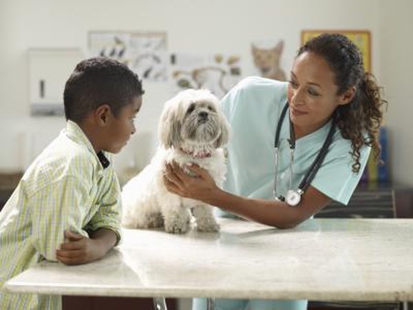 If your dog has unusual symptoms contact your veterinarian immediately.