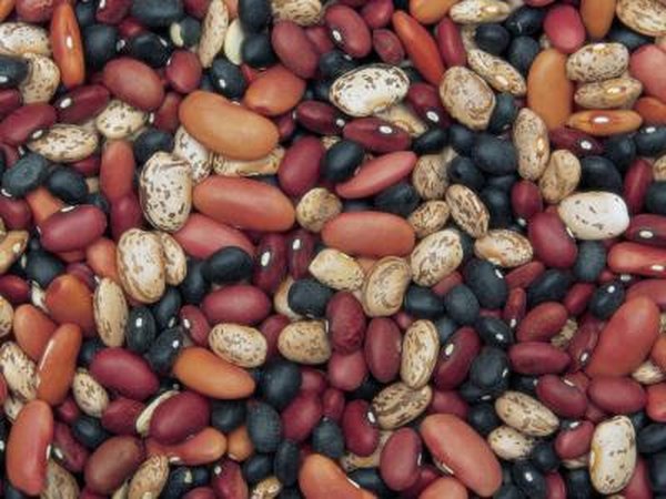 Beans are low calorie and high protein.