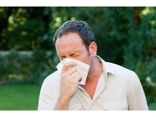 The most common allergens are pollen, dust, dander and mold