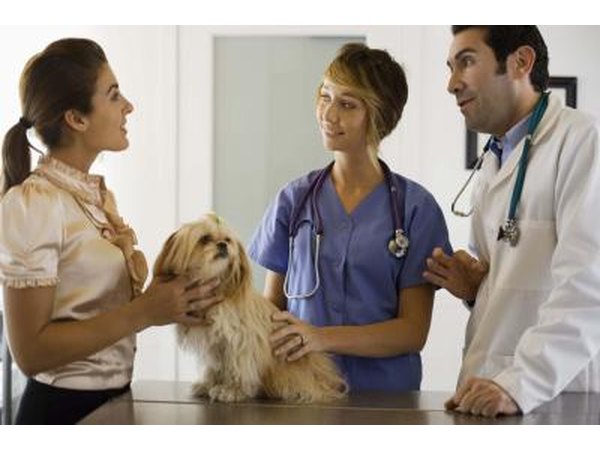 Dealing with pet owners