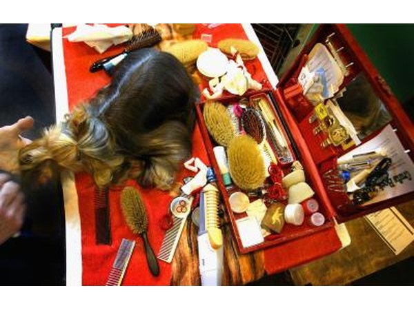 how to shave a yorkie how to shave a yorkie yourself with pictures ehow how to shave a yorkie how to shave a yorkie yourself with pictures ehow