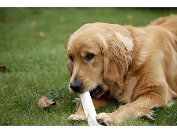 Synthetic bones will last longer than traditional bones.