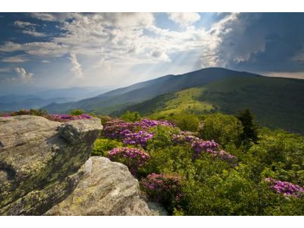 Rubies, emeralds and sapphires can all be found in North Carolina.