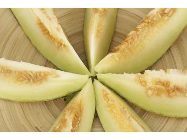 Slices of honey dew melon on a plate