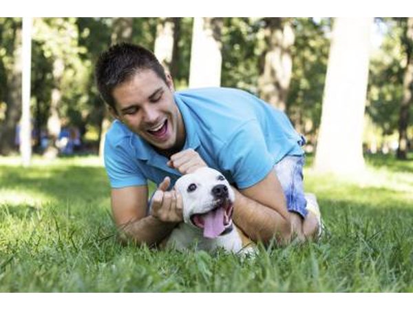 Laughing exercises your diaphragm muscle.