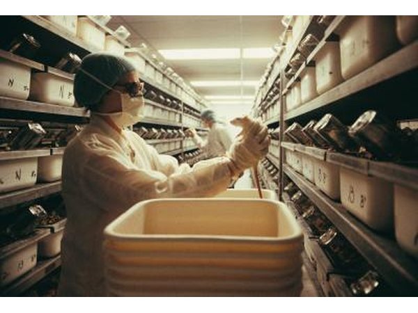 Lab worker