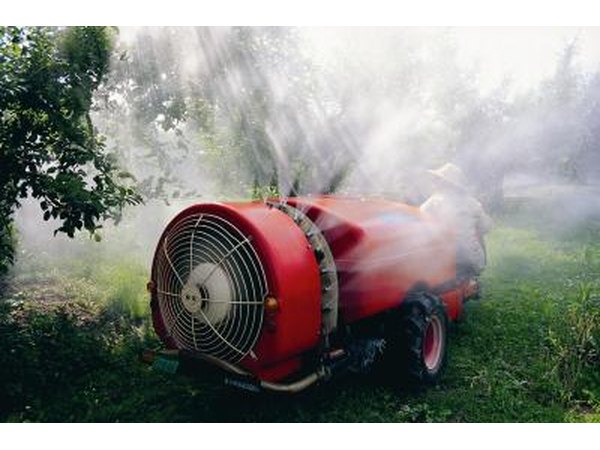 Uses for Insecticide