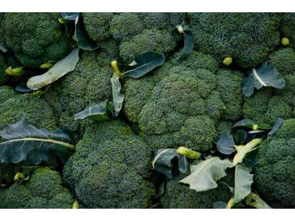 brocolli