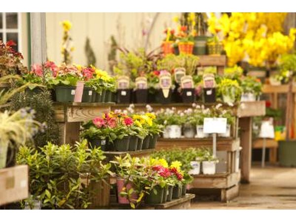 Plant store
