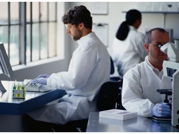Scientists in lab