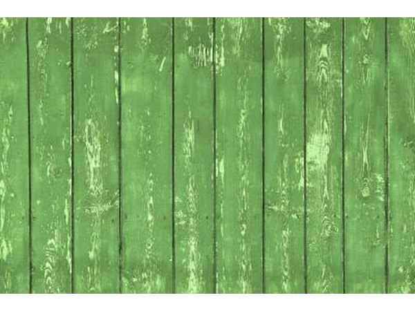 evergreen wooden fence