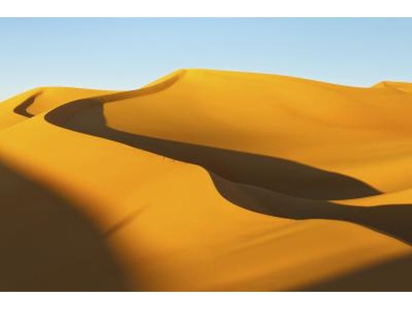 the Sahara is the world's largest desert